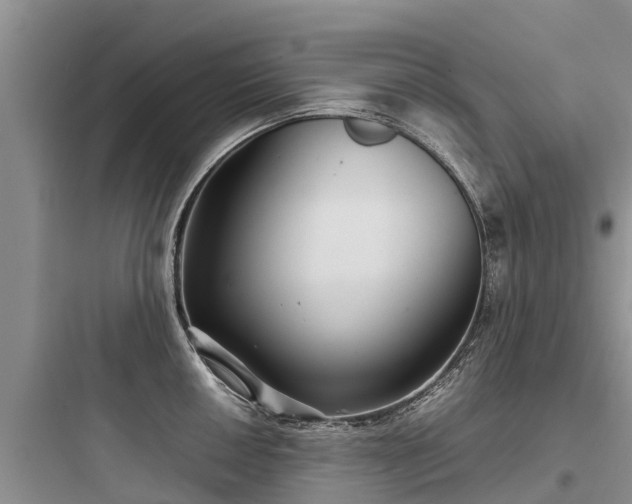 X0000097921050200803211523