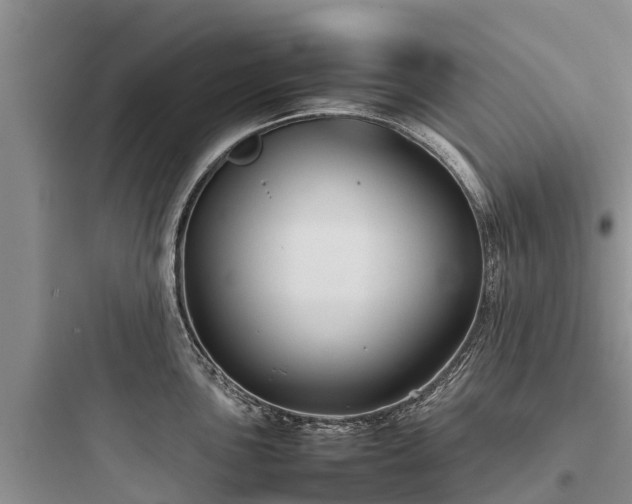 X0000097921051200803211523