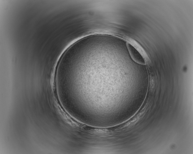 X0000097921052200803211523