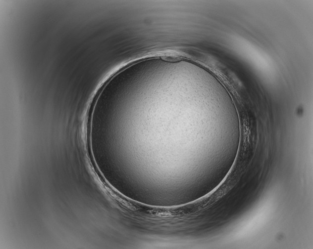 X0000097921054200803211523