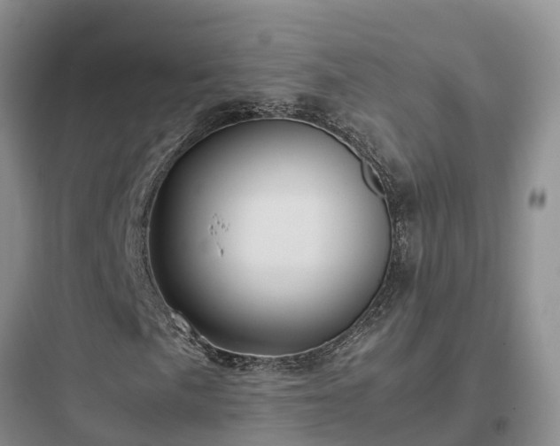 X0000097921057200803211522