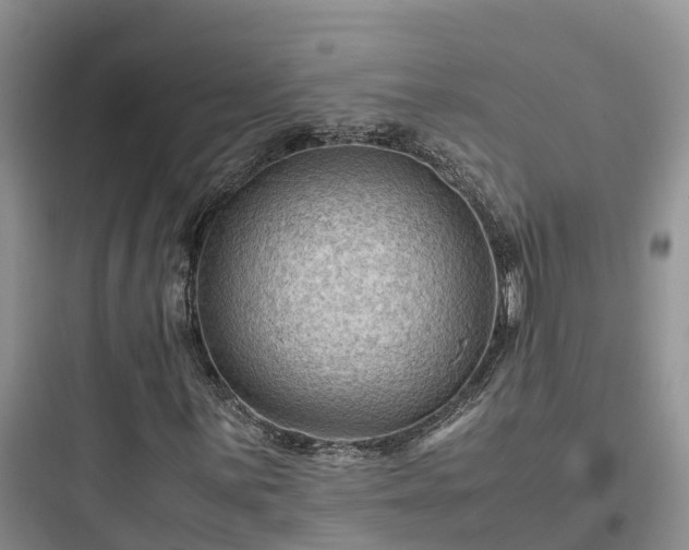 X0000097921059200803211522