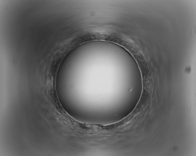 X0000097921061200803211522