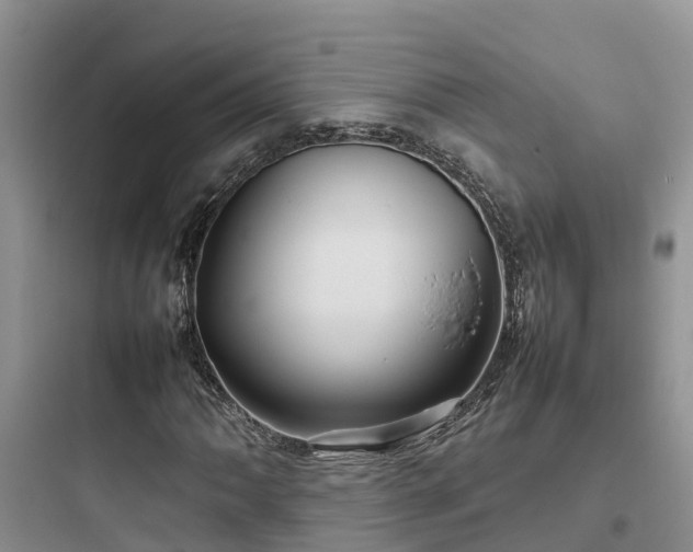 X0000097921062200803211522