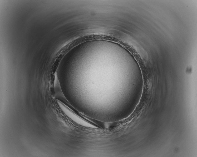 X0000097921064200803211522