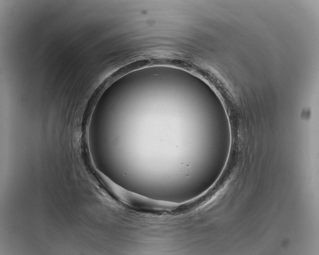 X0000097921065200803211522