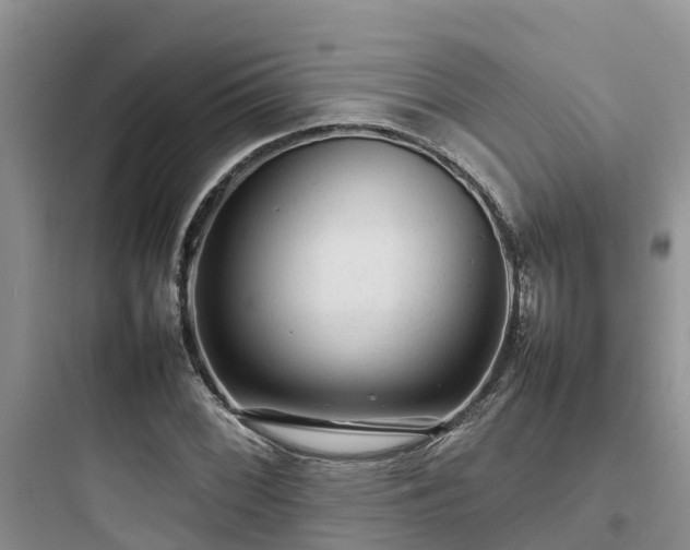 X0000097921068200803211522