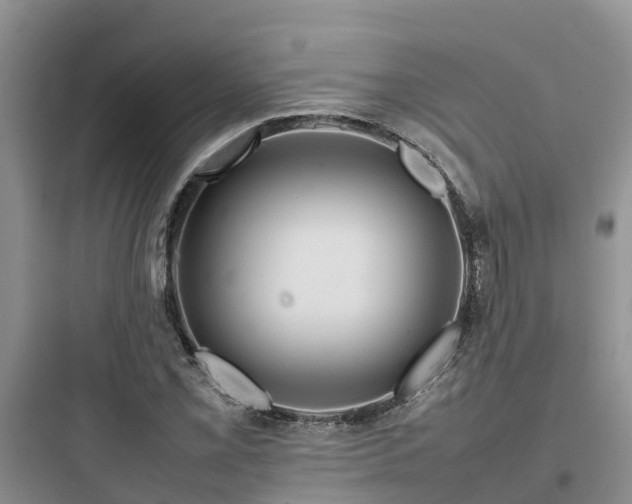 X0000097921069200803211522