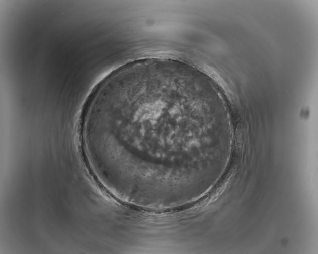 X0000097921071200803211522
