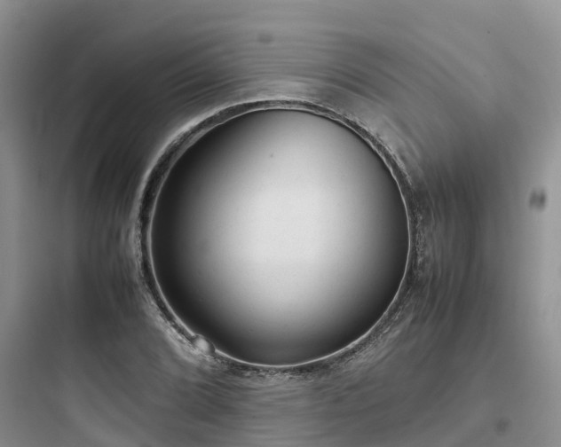 X0000097921072200803211522