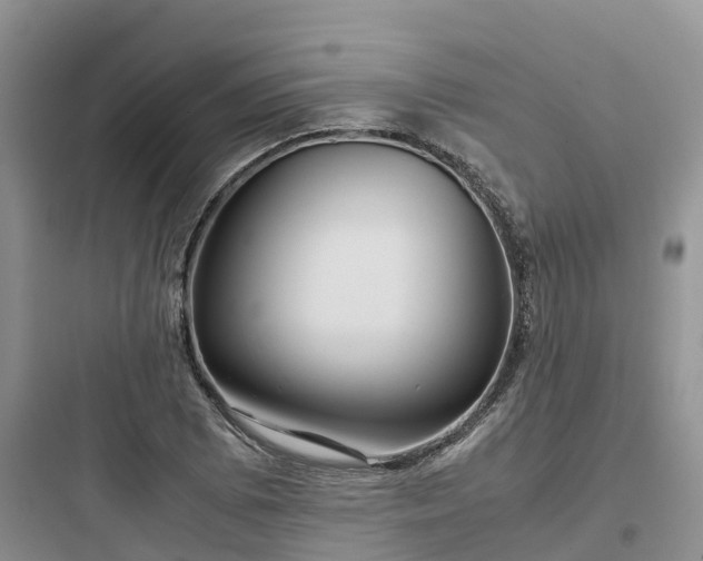 X0000097921073200803211522