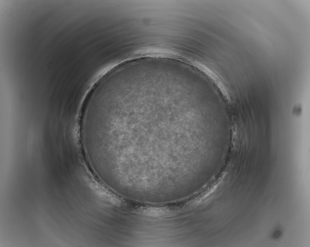 X0000097921074200803211522