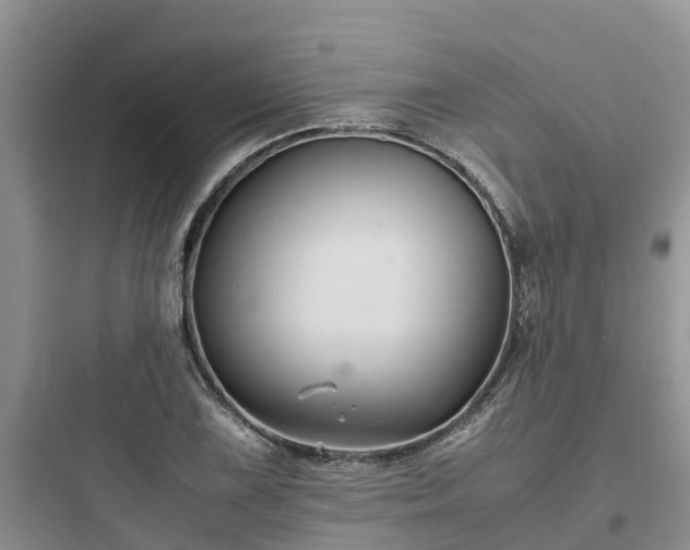 X0000097921075200803211522