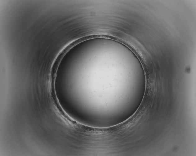 X0000097921076200803211522