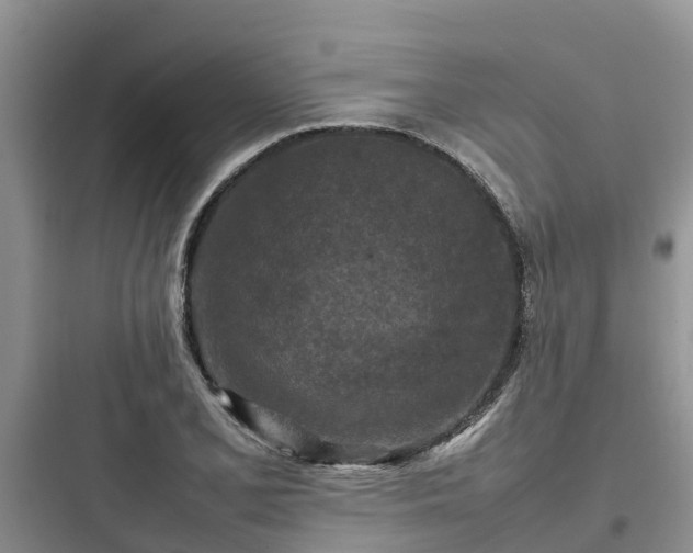 X0000097921077200803211522