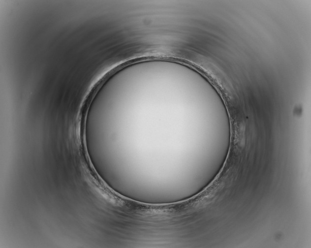 X0000097921078200803211522