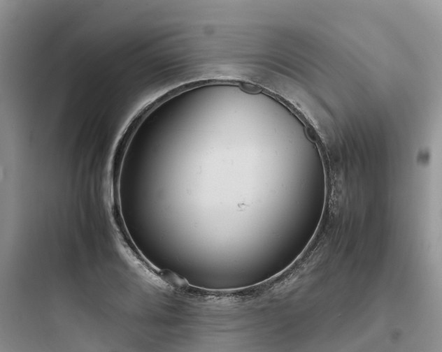 X0000097921080200803211522