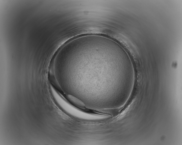 X0000097921081200803211522