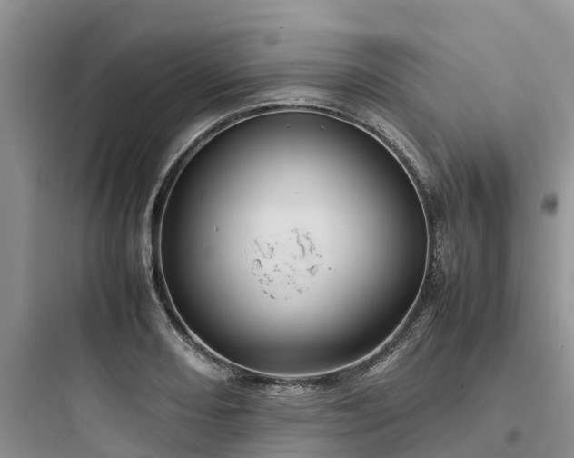 X0000097921082200803211522