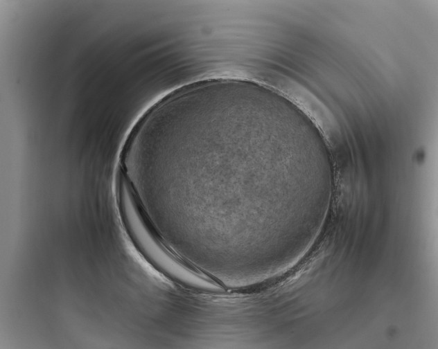 X0000097921084200803211522