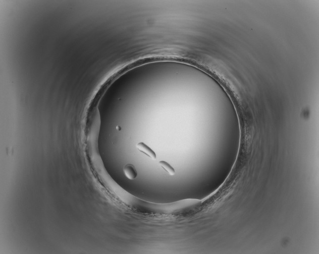 X0000097921085200803211522