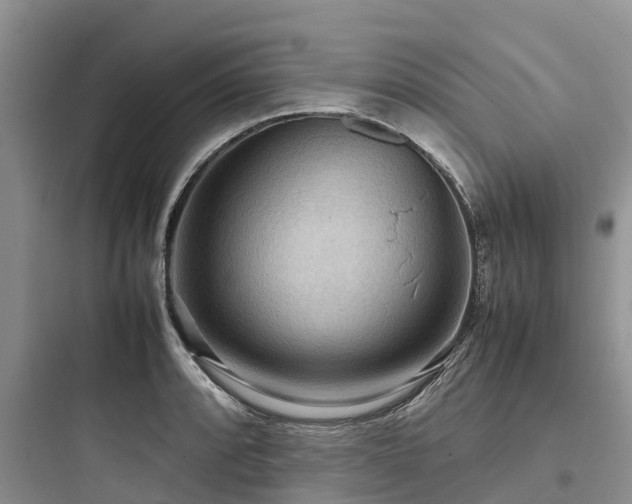 X0000097921088200803211522