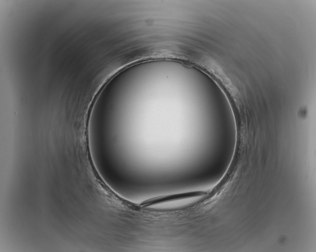 X0000097921089200803211522
