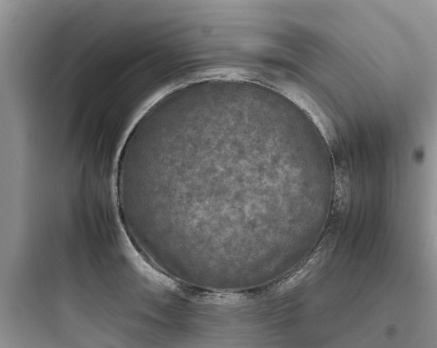X0000097921090200803211522