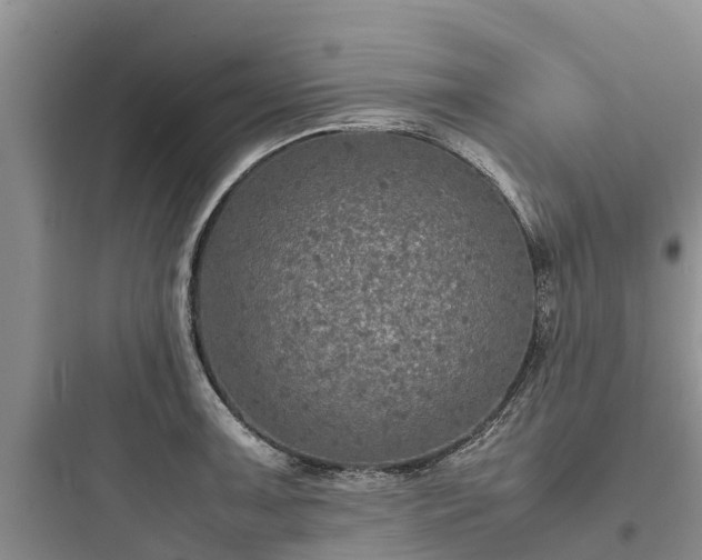 X0000097921091200803211522