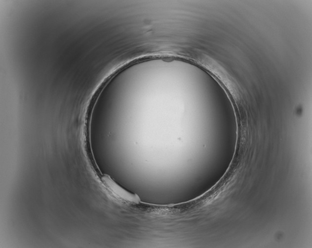 X0000097921093200803211522