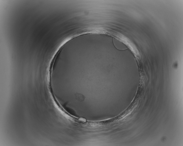 X0000097921095200803211522