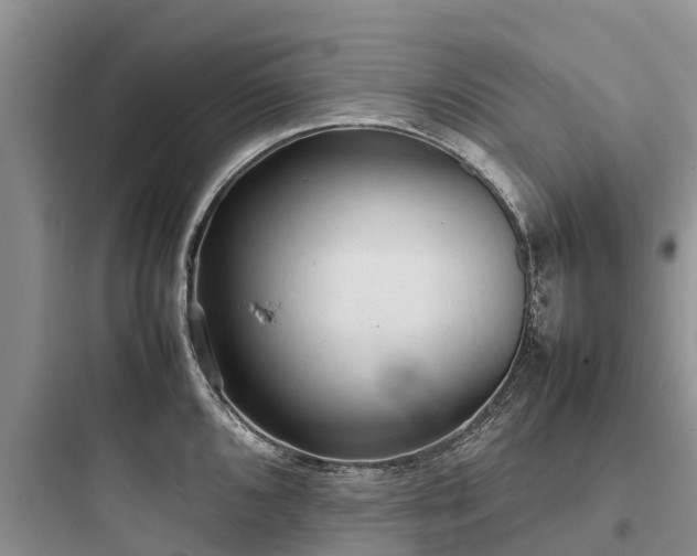 X0000097921096200803211522