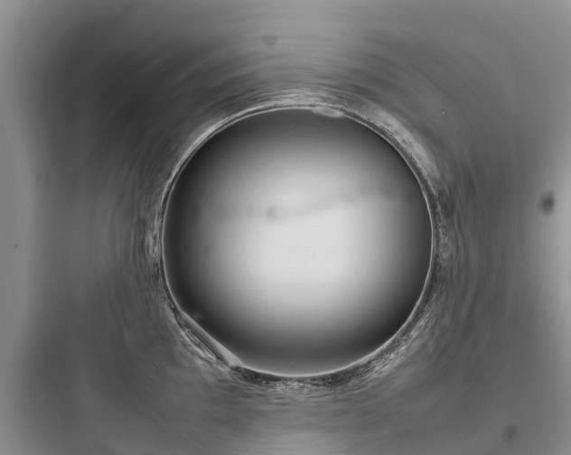 X0000097921097200803211522