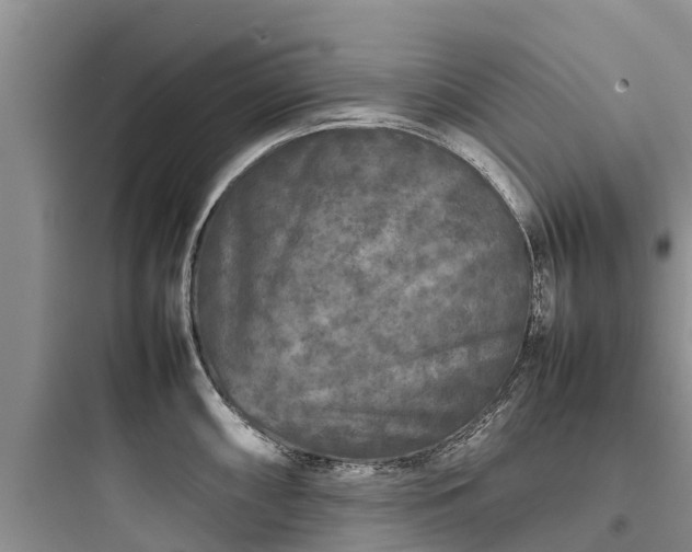 X0000097921098200803211522