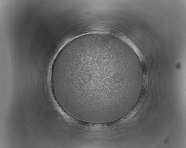 X0000097921099200803211522