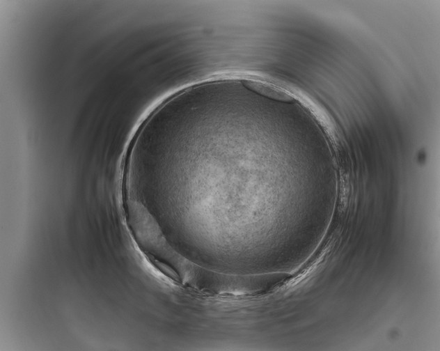 X0000097921102200803211522