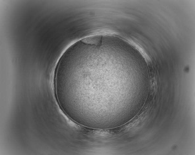 X0000097921103200803211522