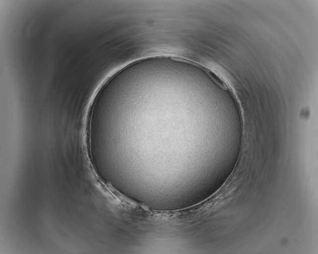X0000097921104200803211522