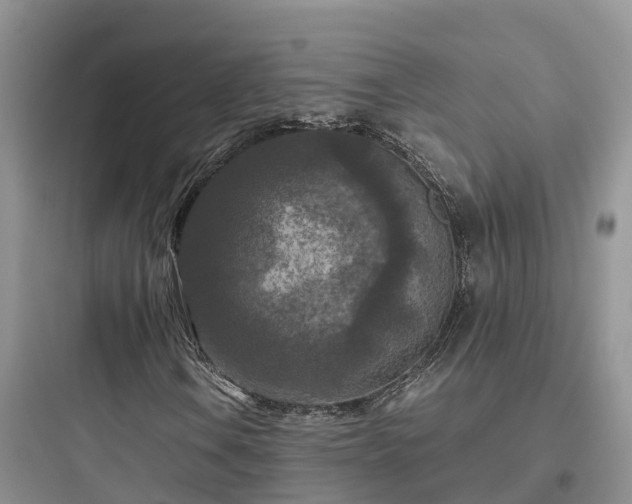 X0000097921106200803211521