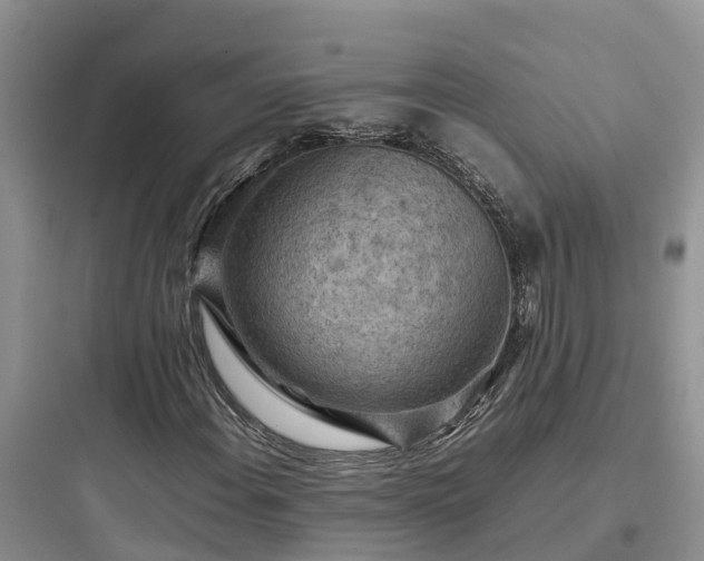 X0000097921108200803211521