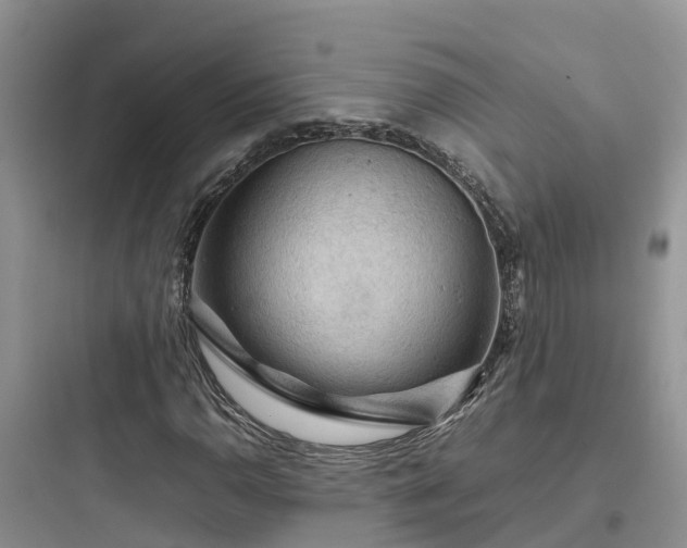X0000097921110200803211521