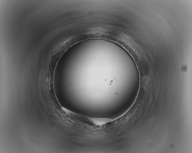X0000097921111200803211521