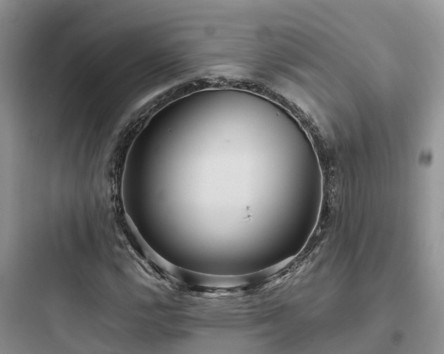 X0000097921112200803211521