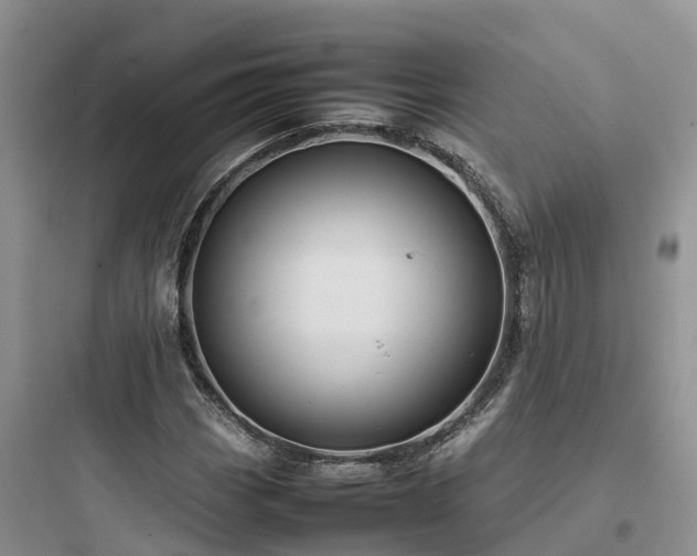 X0000097921113200803211521