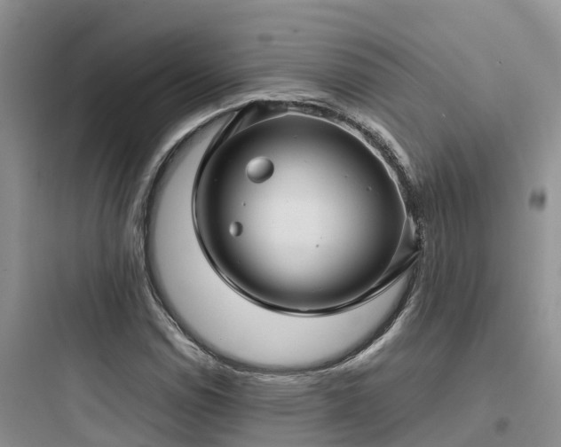 X0000097921114200803211521