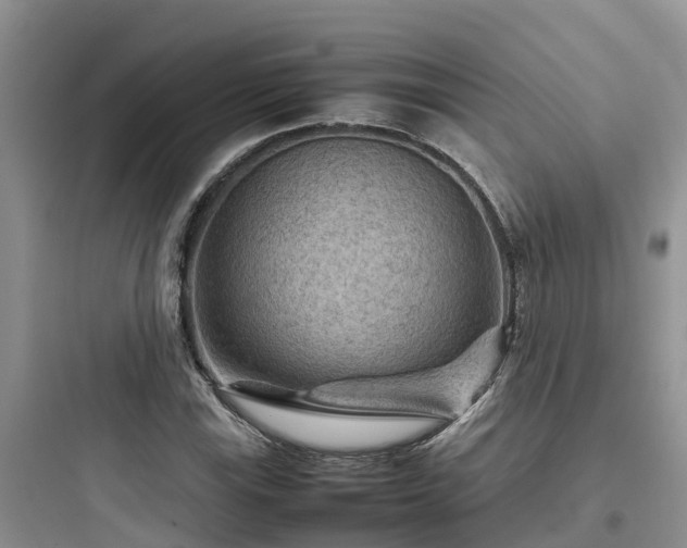 X0000097921115200803211521