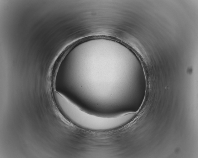 X0000097921116200803211521