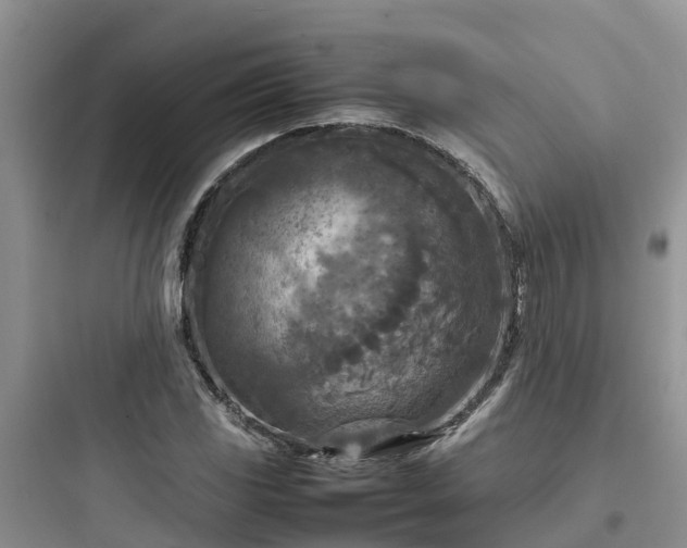 X0000097921117200803211521