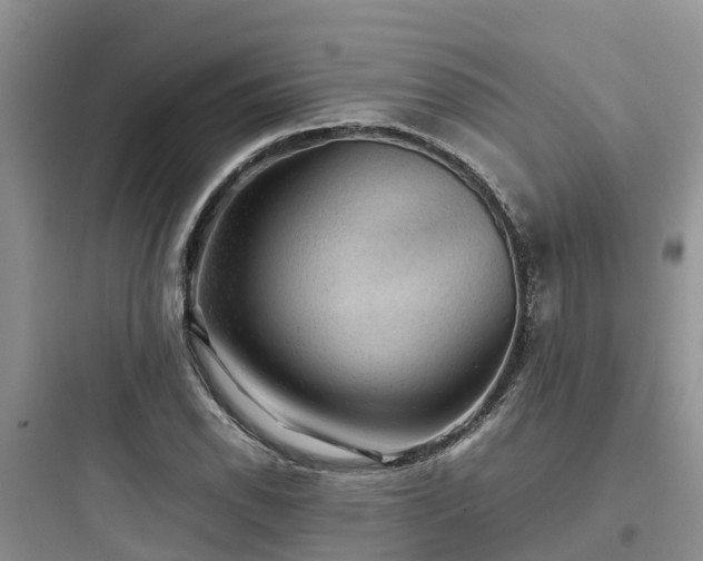 X0000097921118200803211521