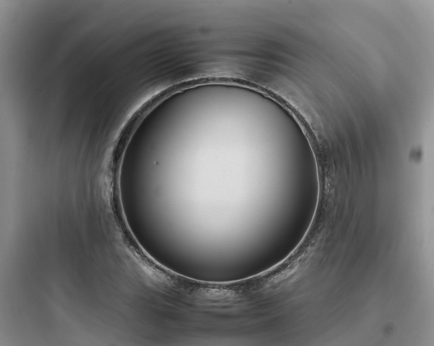 X0000097921119200803211521